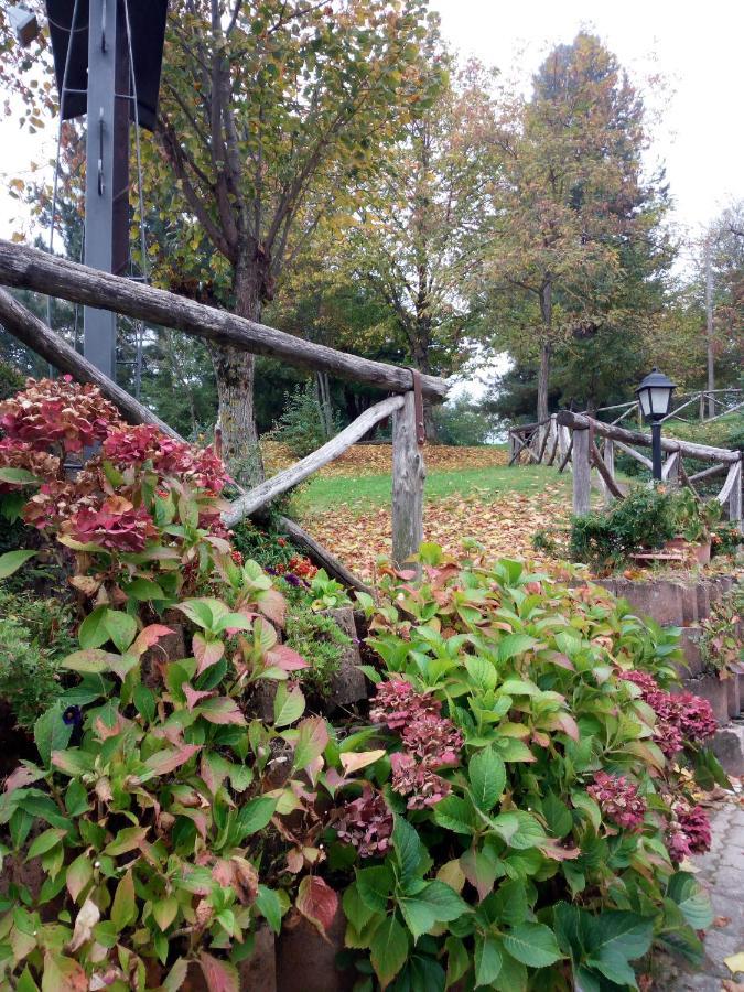 Il Castagno Bed & Breakfast Montemonaco Exterior photo